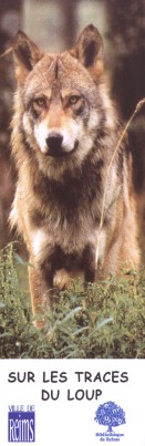  2003 