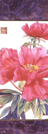  Aquarelle d'H�l�ne Saule-Sorb� 